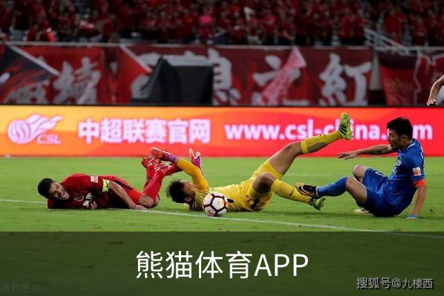 熊猫体育APP公司介绍
